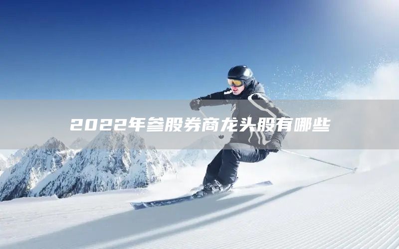 2022年參股券商龍頭股有哪些(圖1)