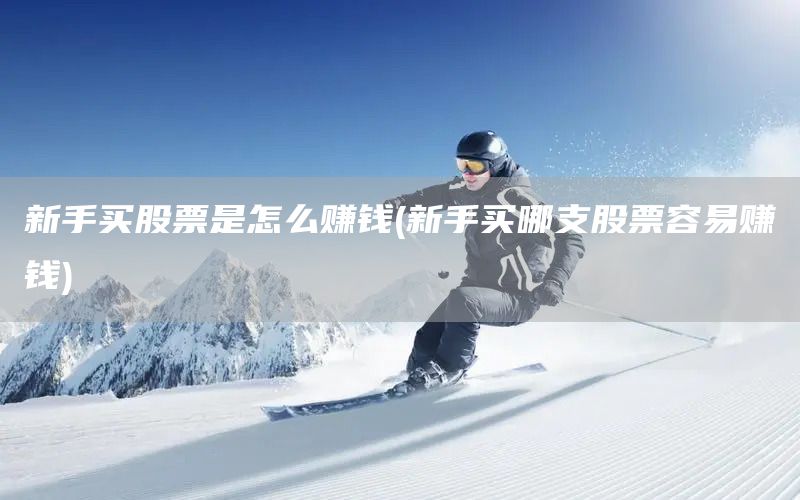 新手買股票是怎么賺錢(新手買哪支股票容易賺錢)(圖1)