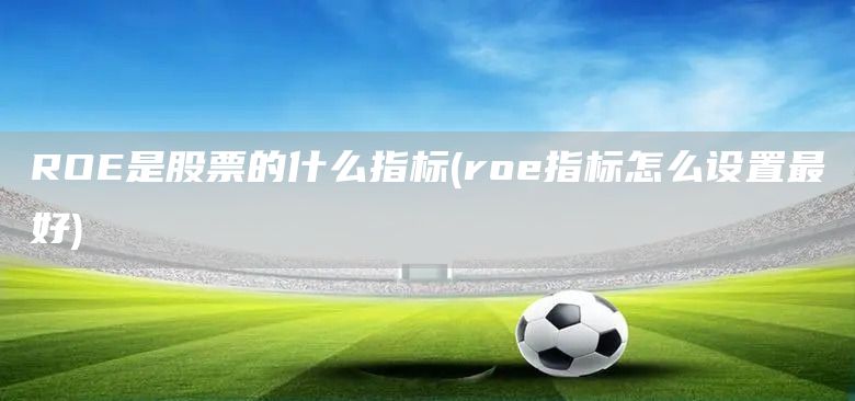 ROE是股票的什么指標(roe指標怎么設置最好)(圖1)